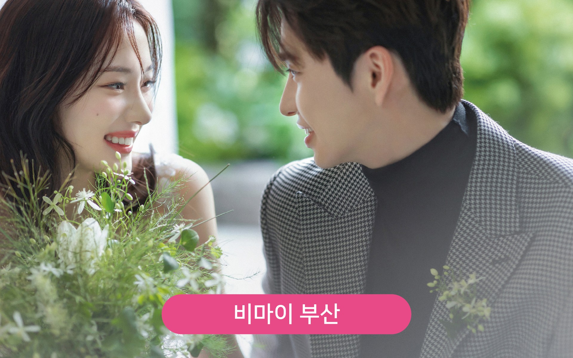 대지 1비마이