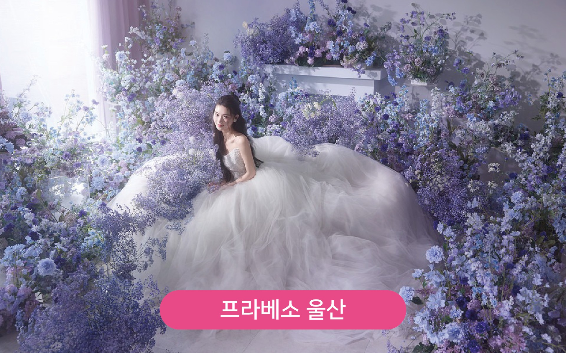 대지 1프라베소